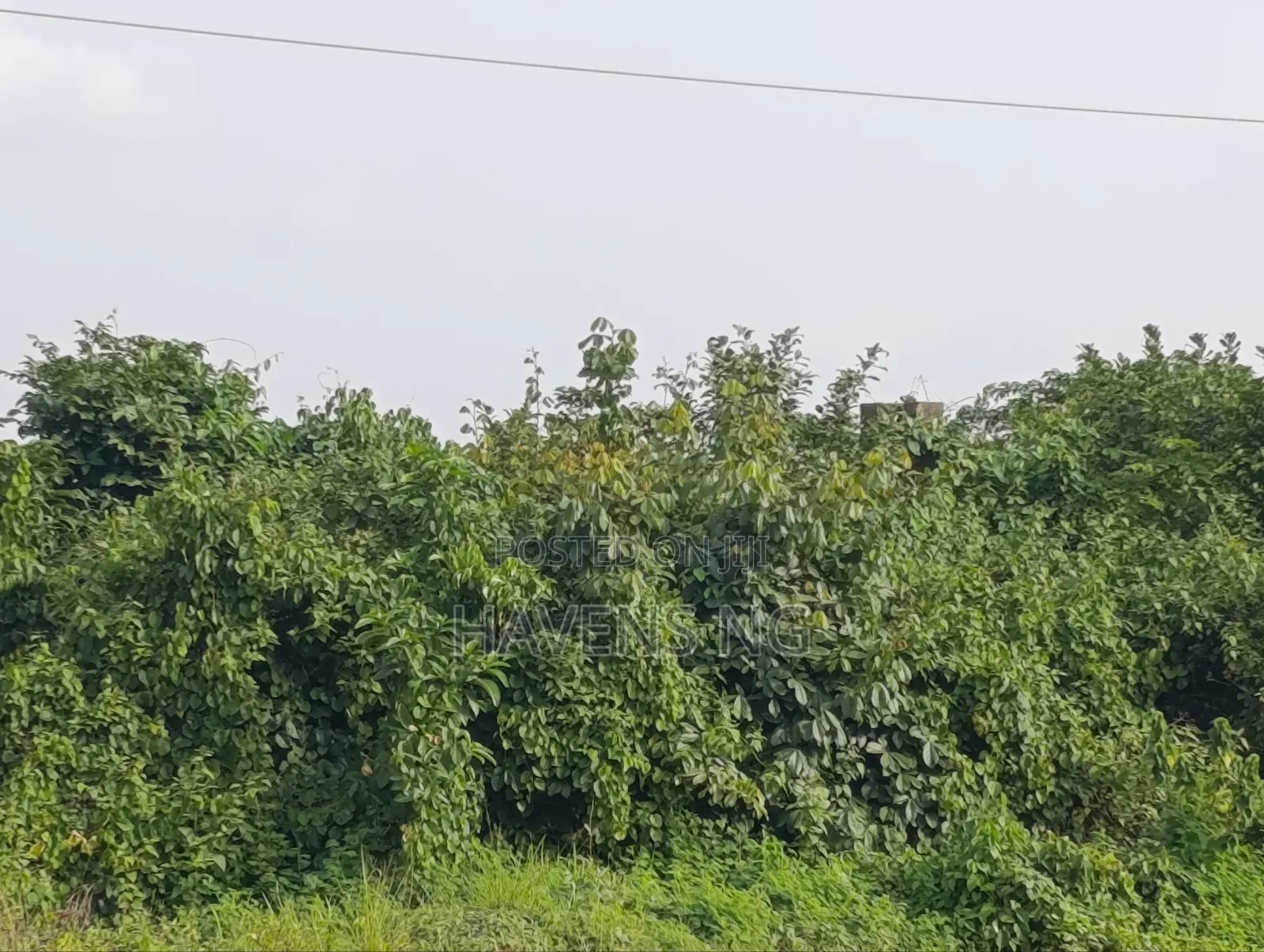2 Plot of Land Akobo Olorunda Abaa Ibadan