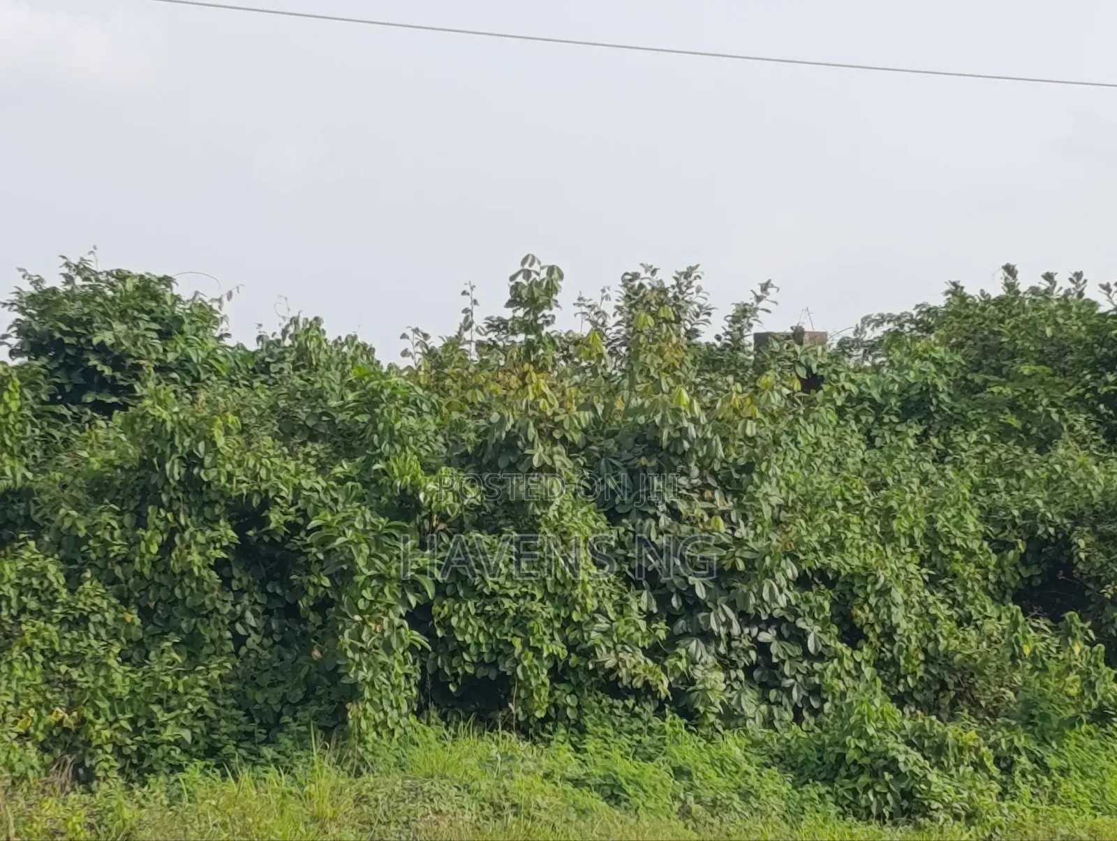 2 Plot of Land Akobo Olorunda Abaa Ibadan