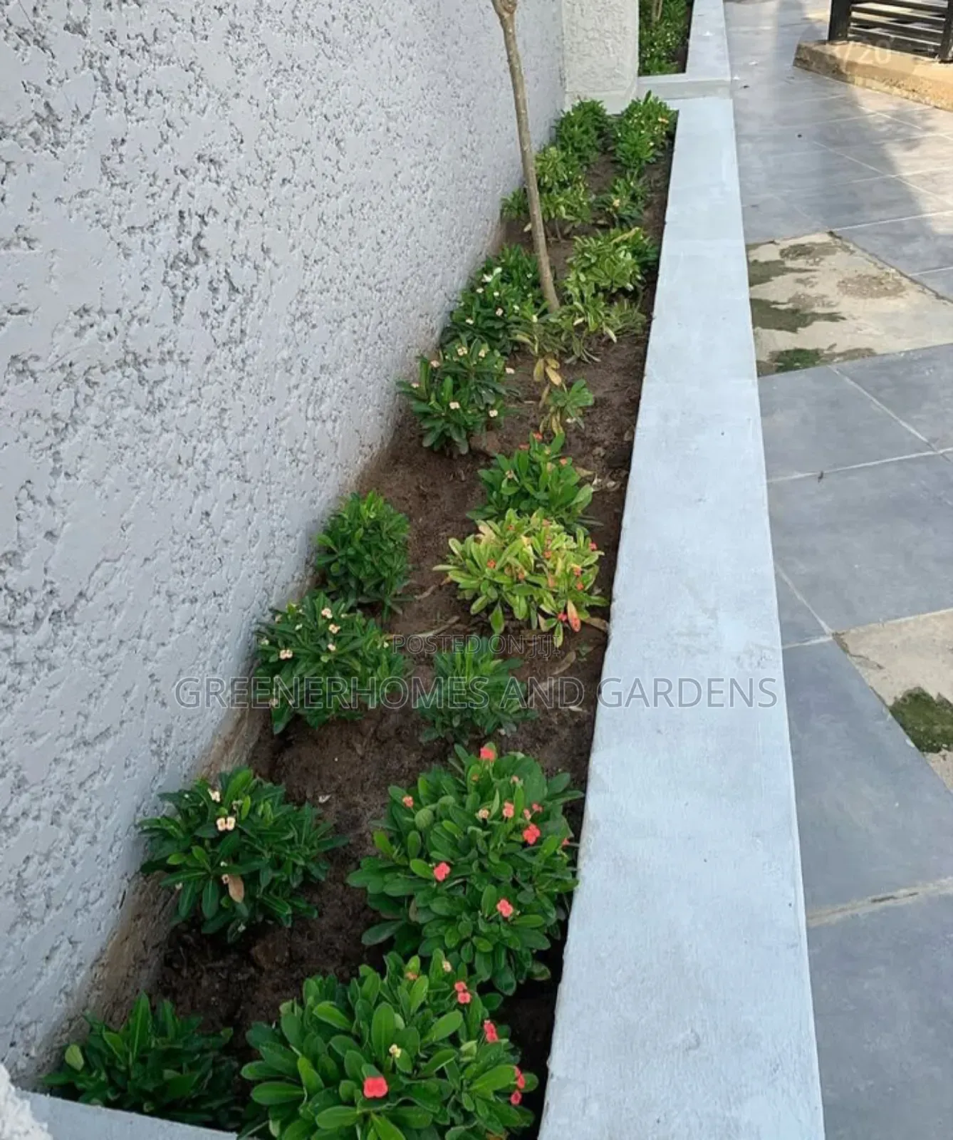 Flower Bed Design