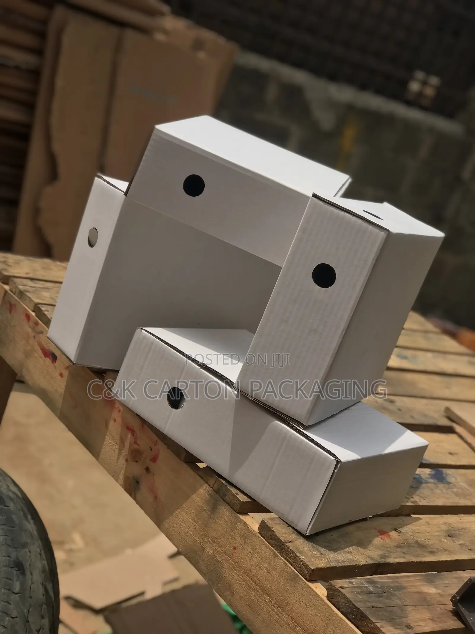 Souvenir White Carton Box