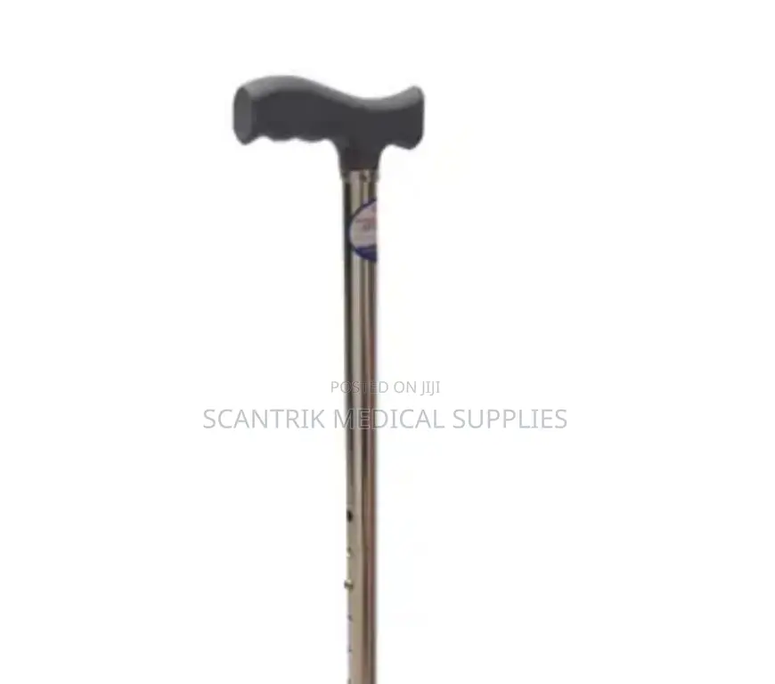 Wanderer’S Staff
