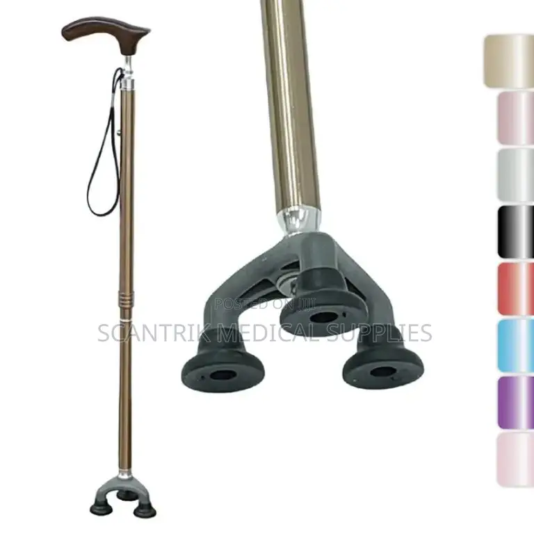 Step Assist Pole