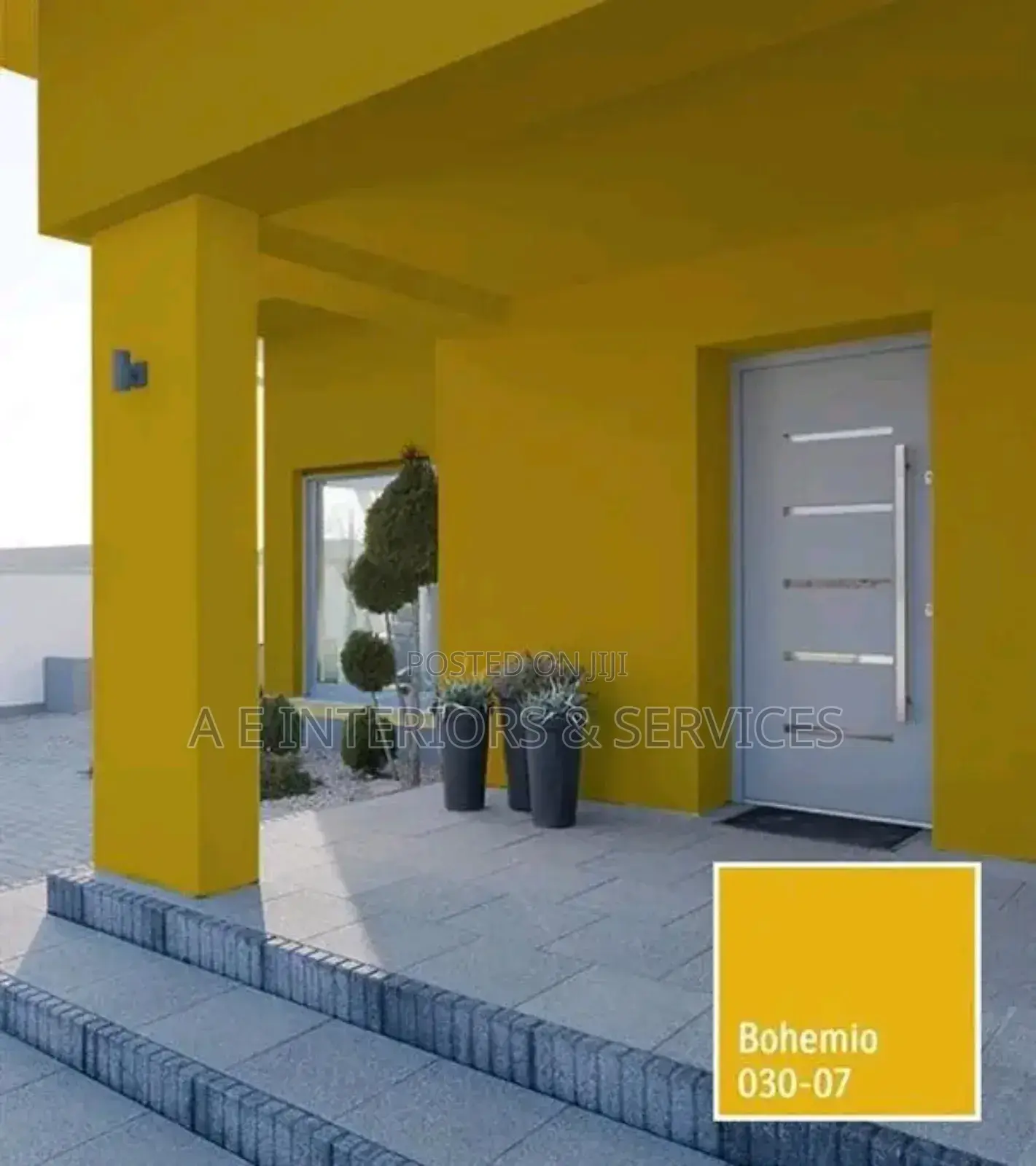 Indoor and Outdoor Painter