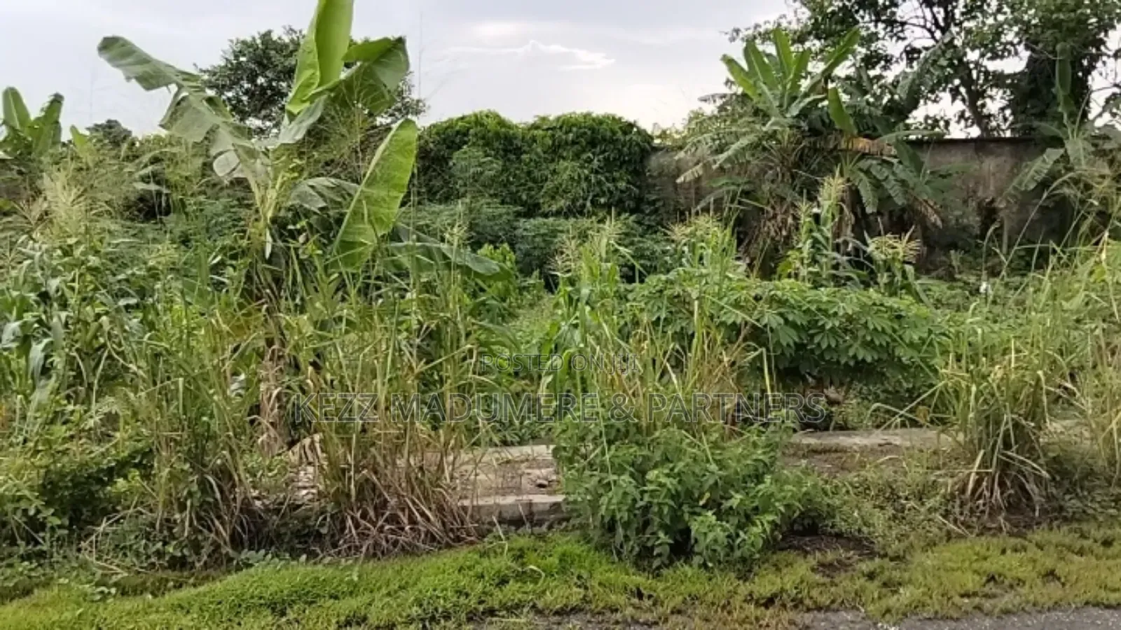 For Sale: 180 Cofo Plots Inside NNPC Quarters Akpajo, Ph