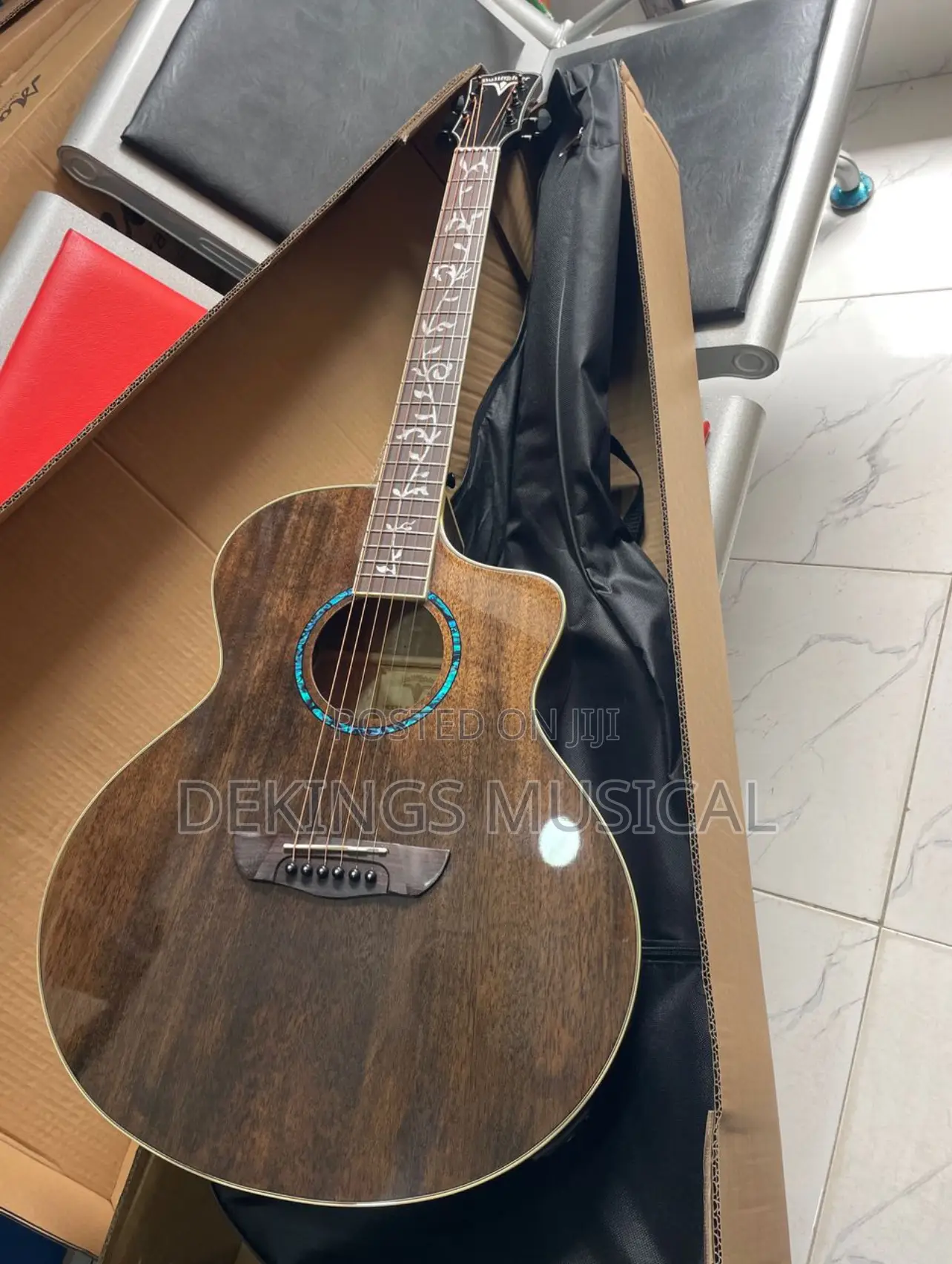 Bullfighter Electro Acoustic Guitar