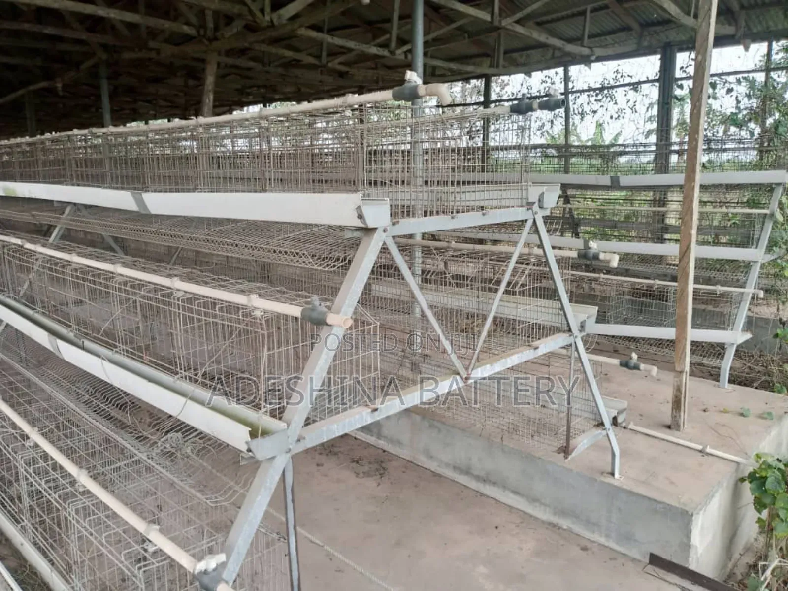 Poultry Cages 96 And 120 Capacities