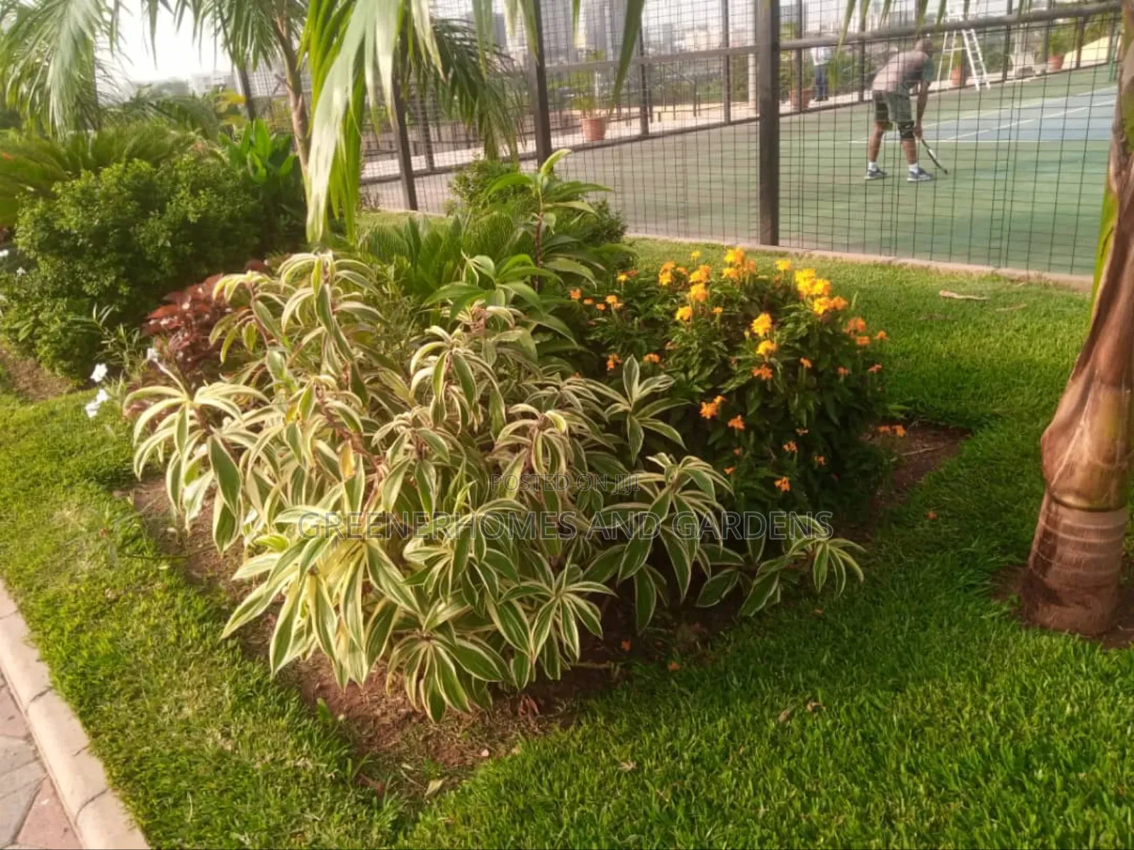 Flower Beds Installation