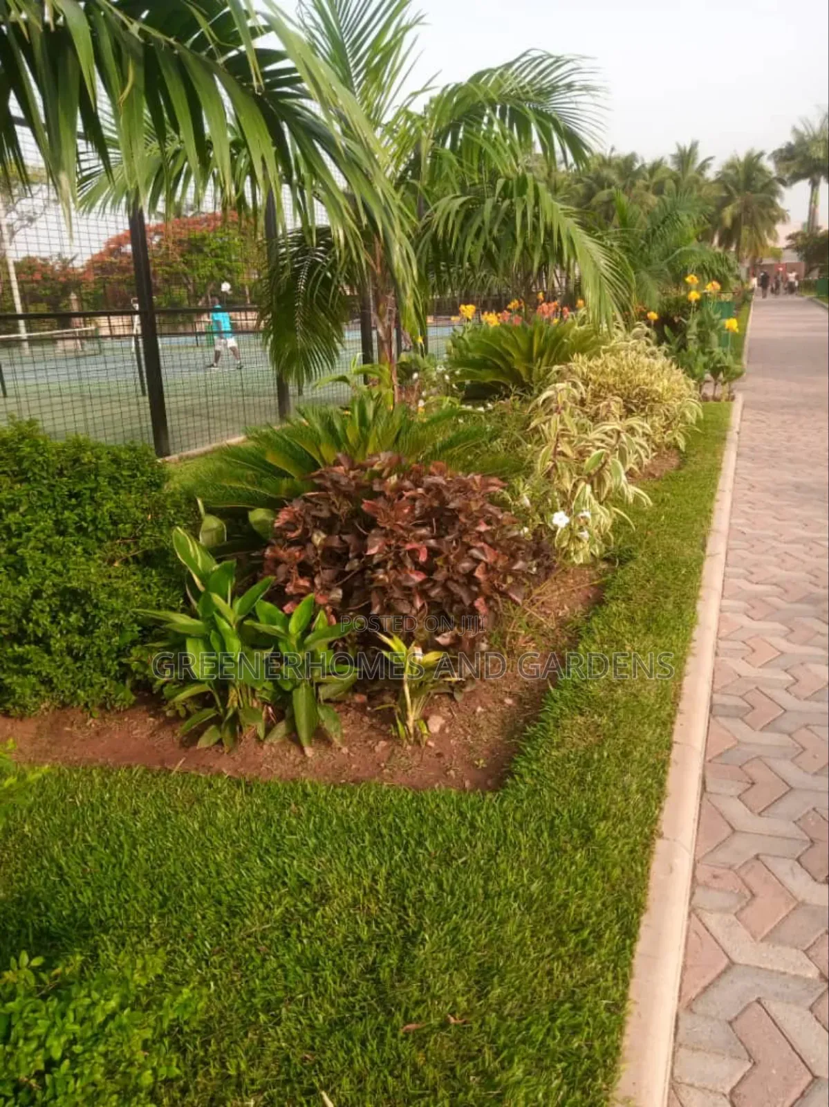 Flower Beds Installation