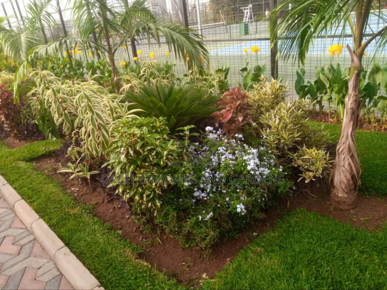 Flower Beds Installation