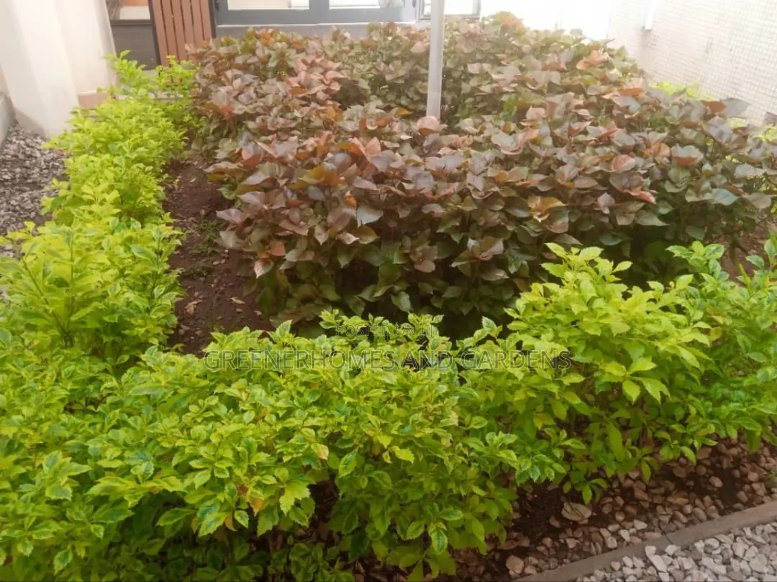 Flower Beds Installation