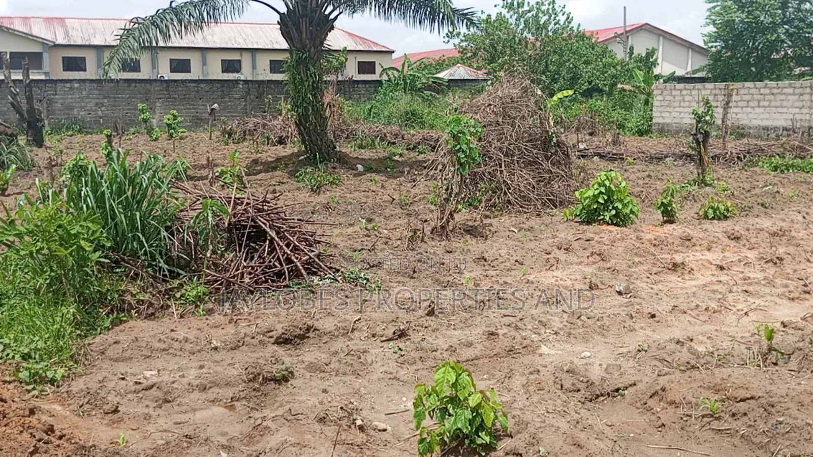 For Sale: 4 Plots at Hospital Estate, Off Eneka Road, PHC
