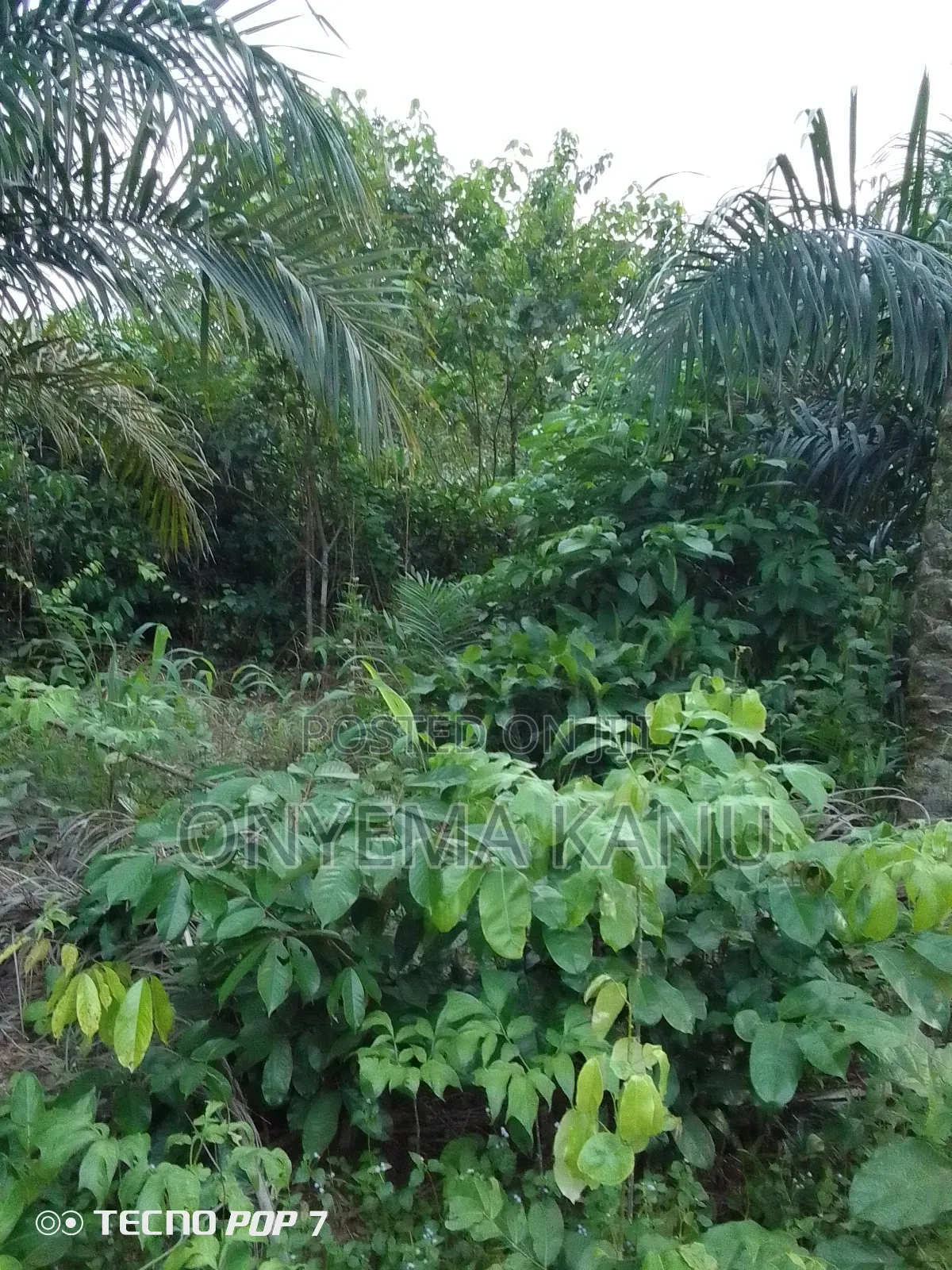 2 Plots Rural Land for Sale.