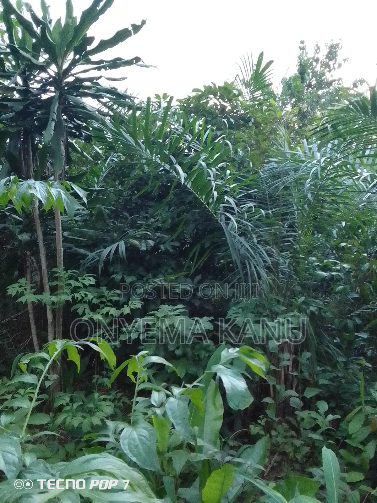 2 Plots Rural Land for Sale.