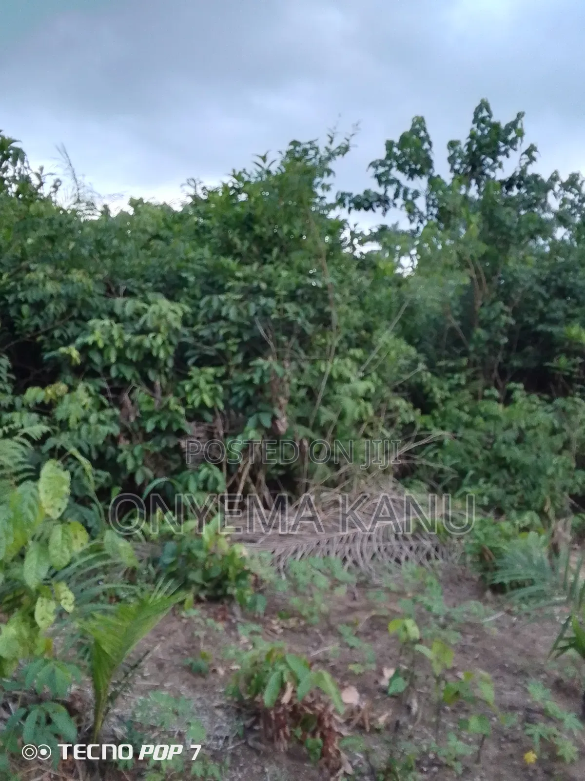 2 Plots Rural Land for Sale.