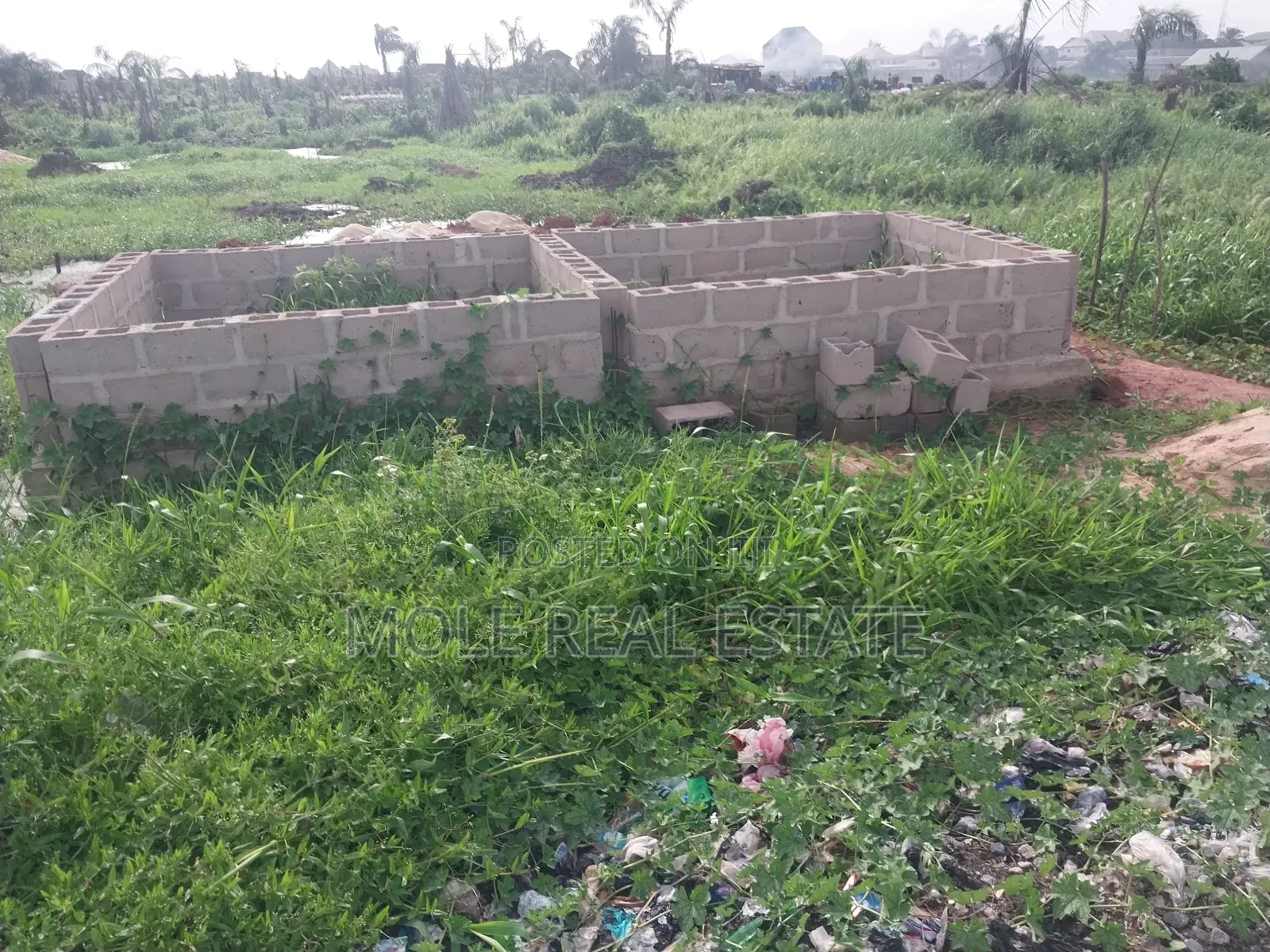 Fish Farm in 3 Plots Prime Location Abule Egba