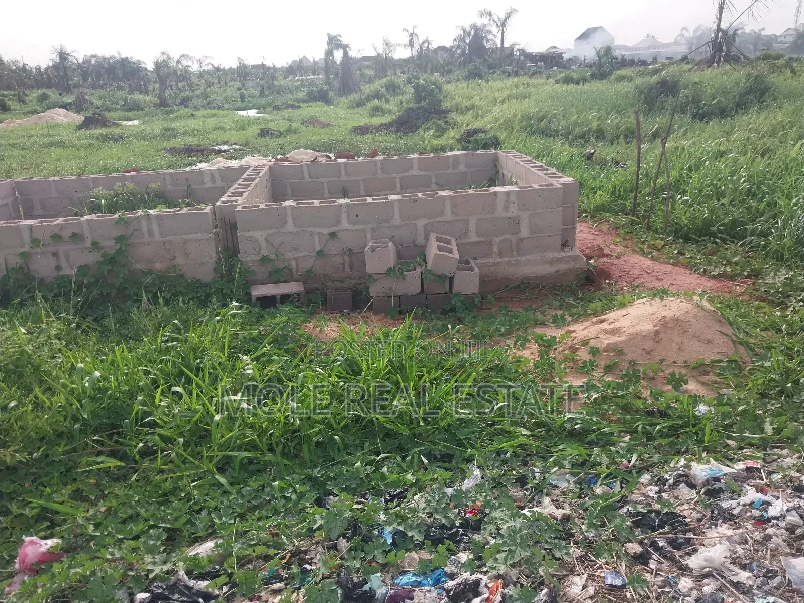 Fish Farm in 3 Plots Prime Location Abule Egba