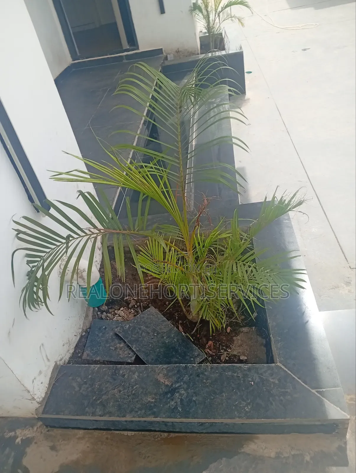 Best Affordable Horticulturist for Your Landscape Project