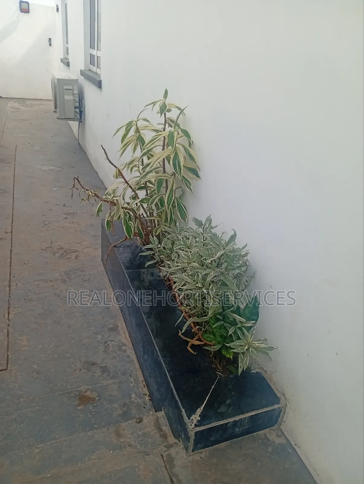 Best Affordable Horticulturist for Your Landscape Project