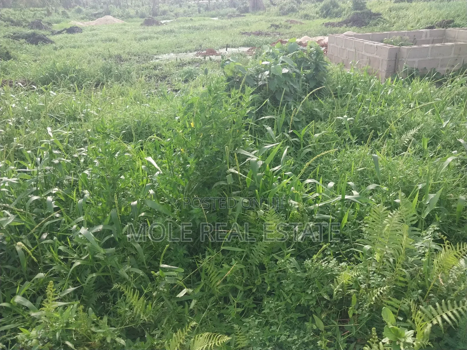 A Plot of Land Egbeda Akowonjo Near Bustop 4 Sale