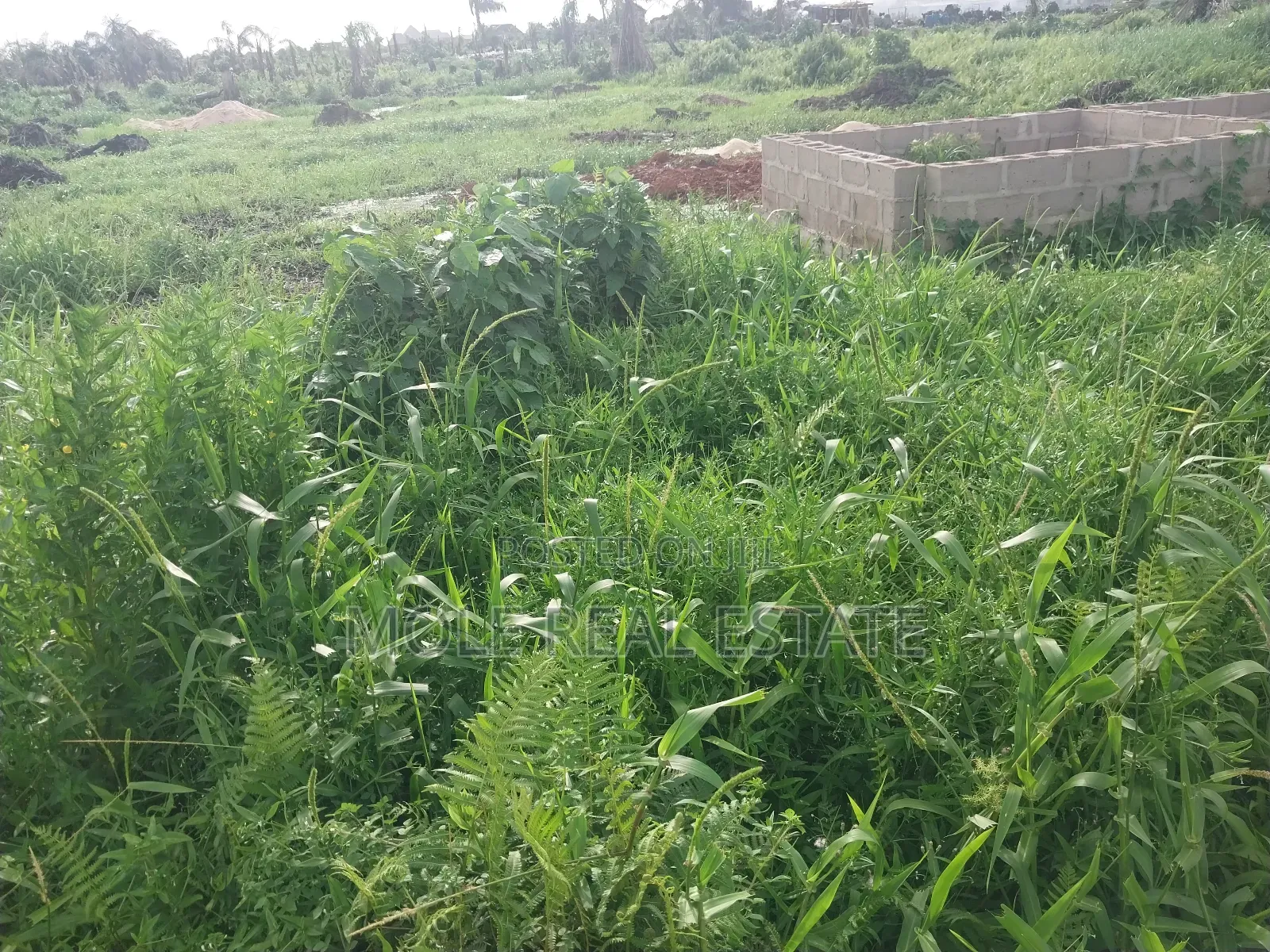A Plot of Land Egbeda Akowonjo Near Bustop 4 Sale