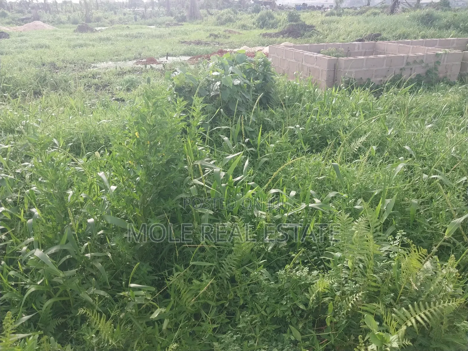 40ft by 60ft Plot Moshalashi Rd Egan Fenced Iguando