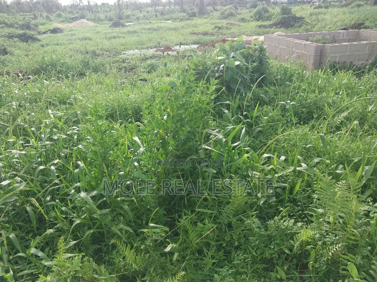 40ft by 60ft Plot Moshalashi Rd Egan Fenced Iguando