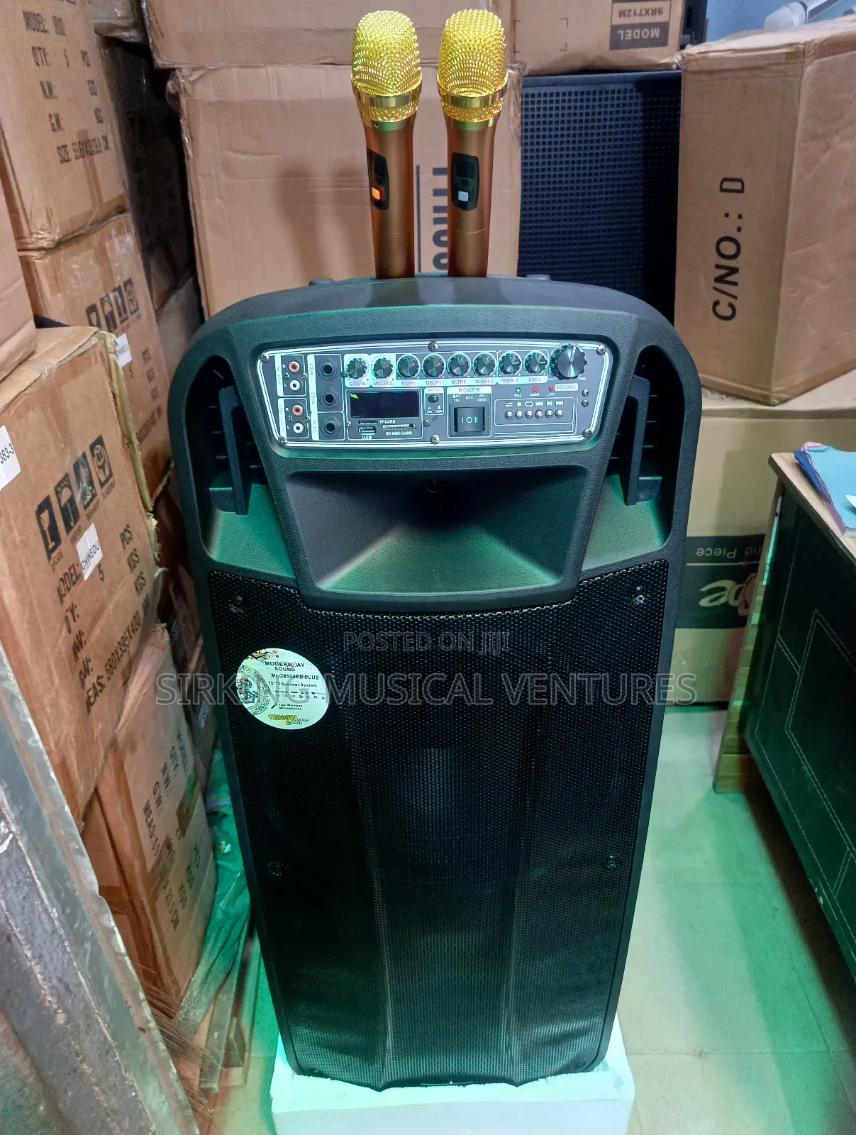 Double Bass Pa System 15inches With 2 Wireless Microphone