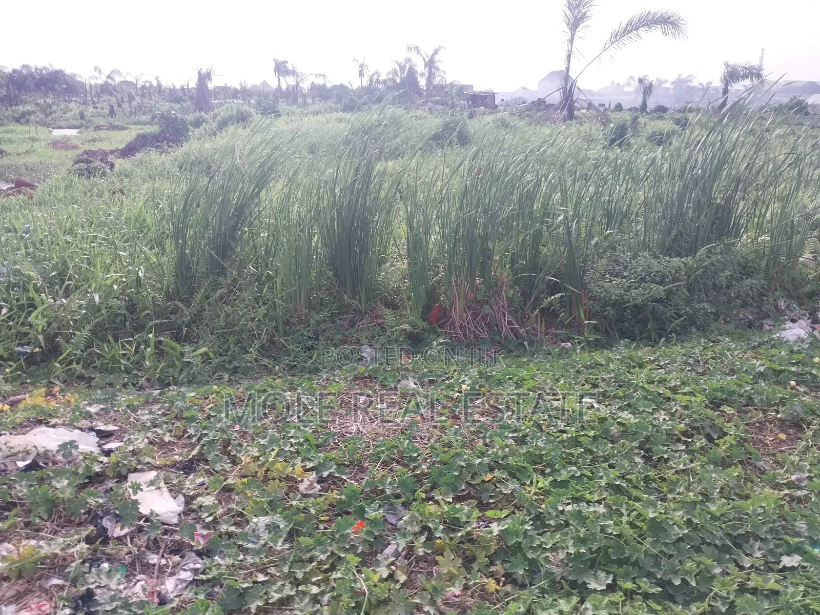 5100sqm Waterfront Queens Drive Ikoyi