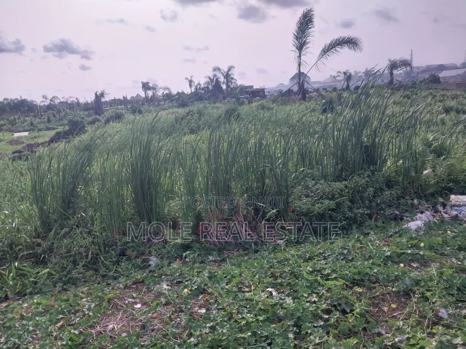 5100sqm Waterfront Queens Drive Ikoyi