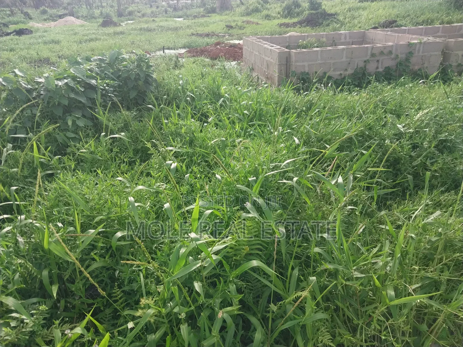 5414sqm Clover Road Ikoyi With 15 Storey Tower Foundations