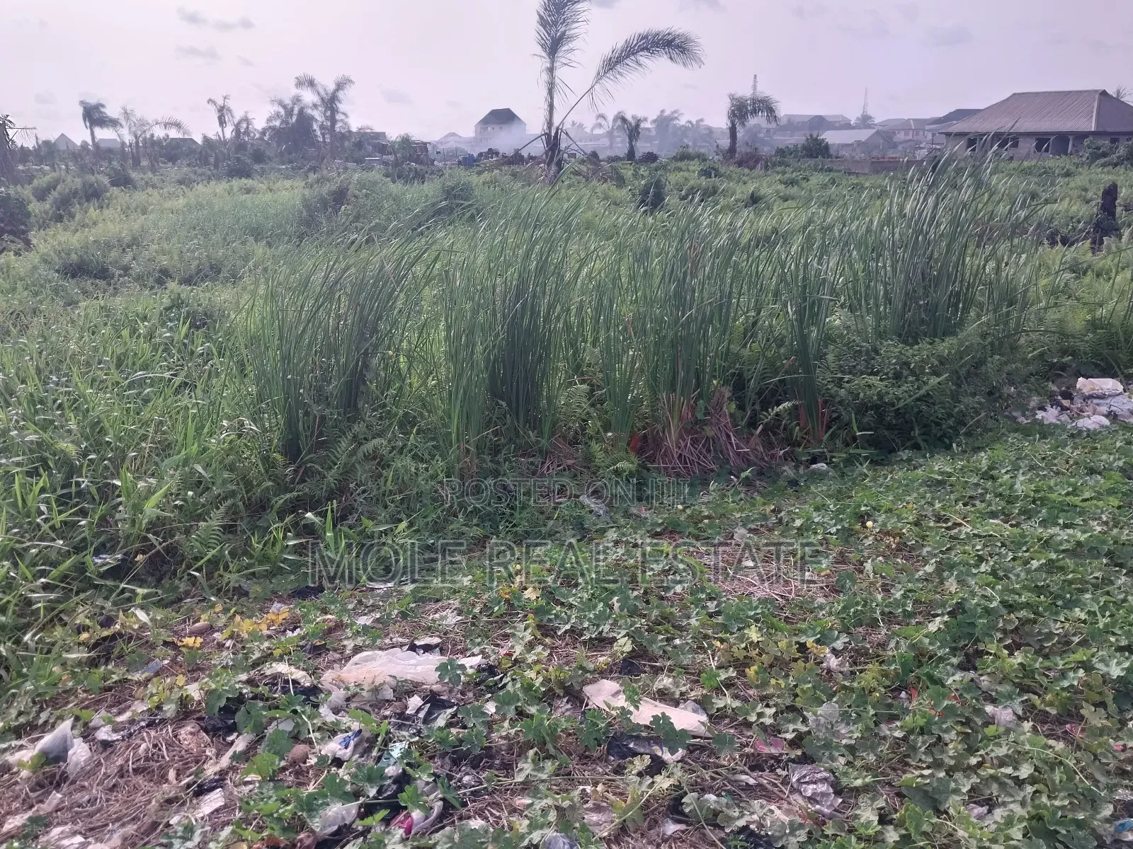 1200sqm Plot by Bankole Oki Street Ikoyi Lagos