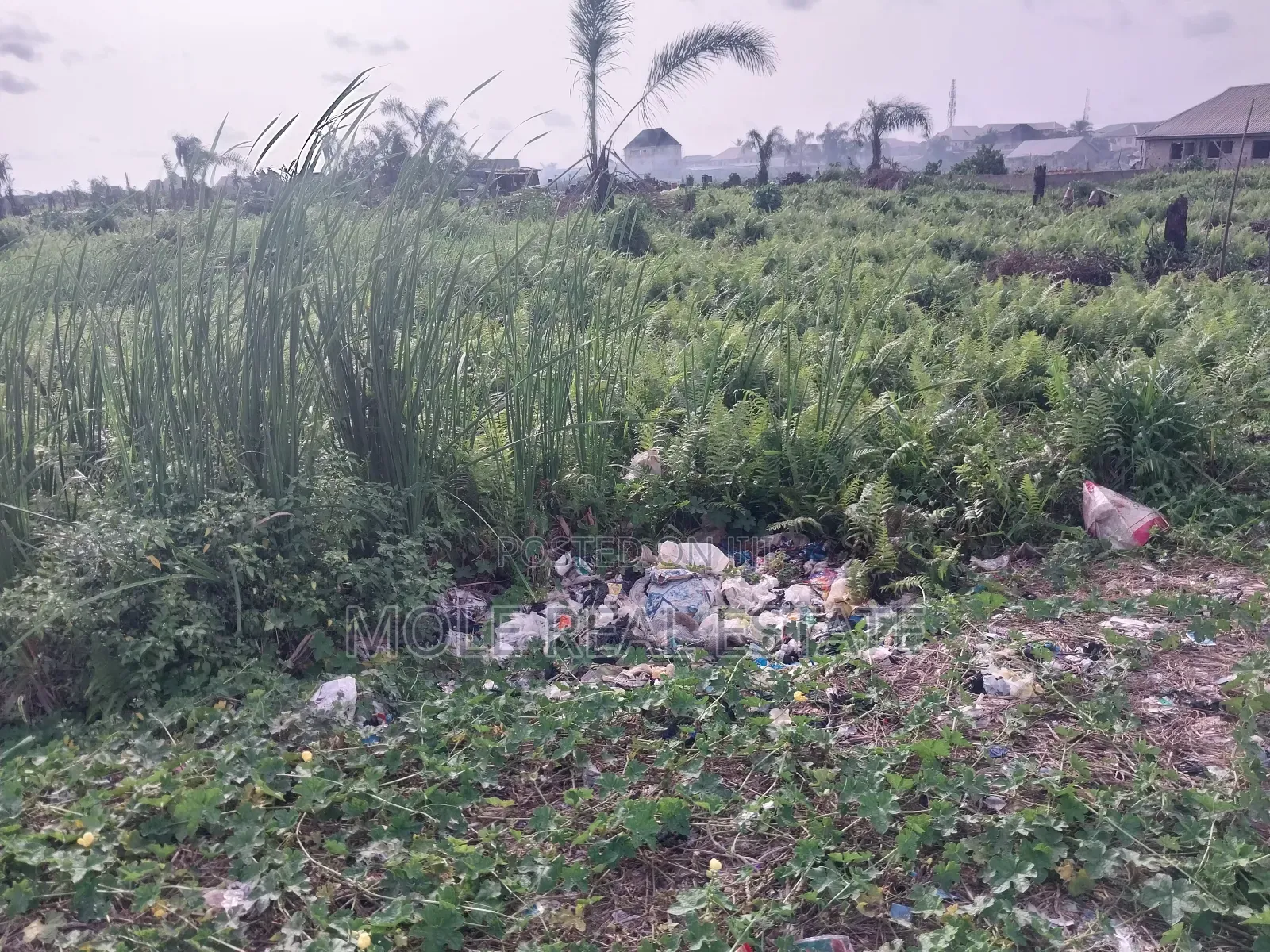 1500sqm Plot Osborn Pase 1 Ikoyi Lagos