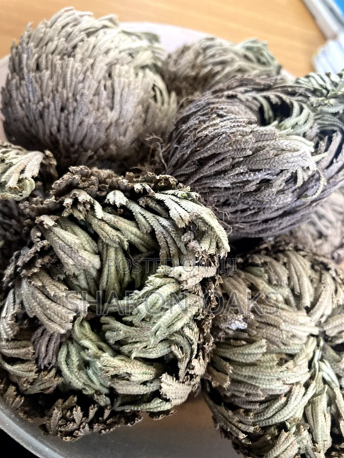 Rose of Jericho 1kg