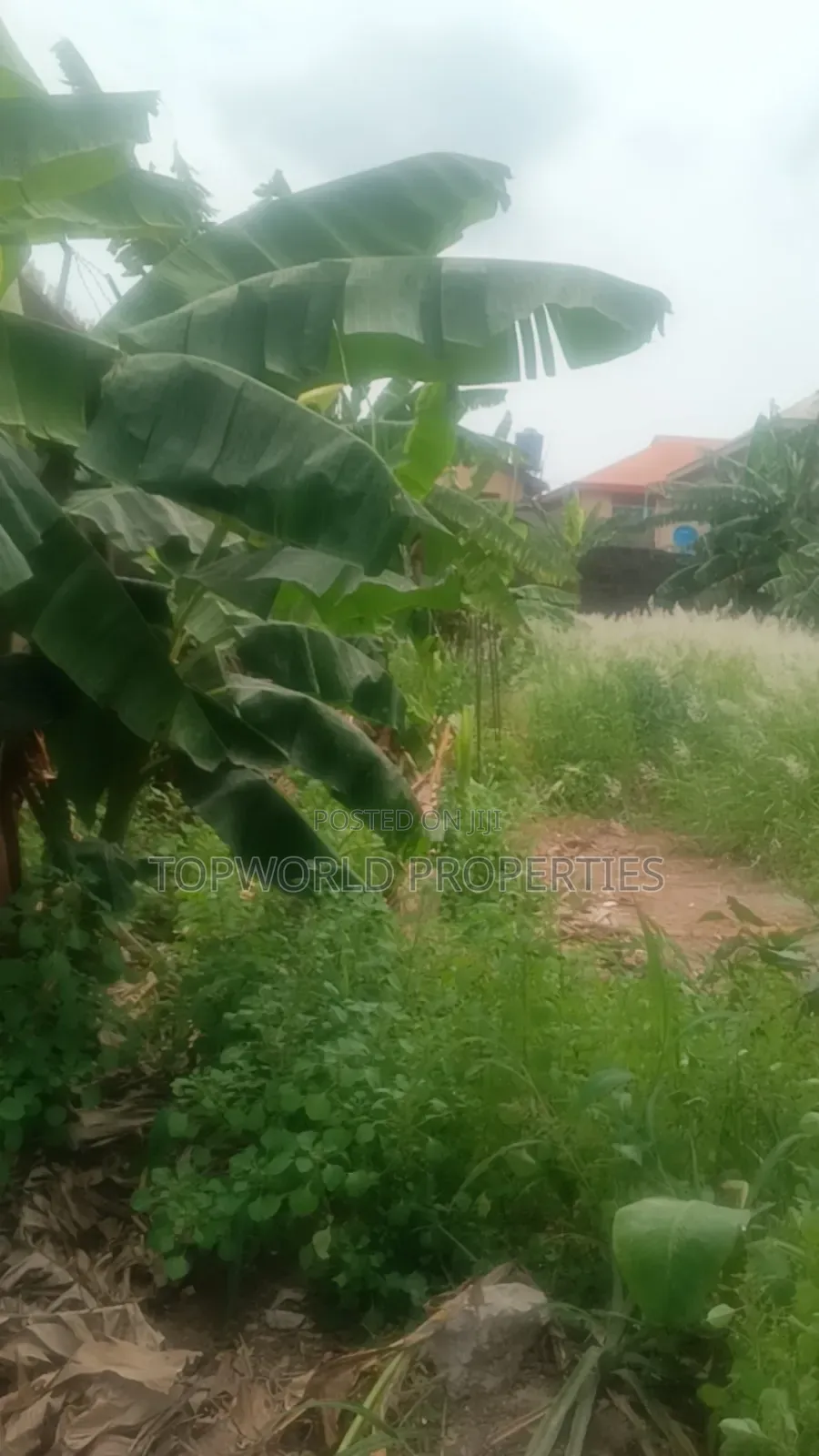 Half Plot of Land in an Estate Within New Oko Oba