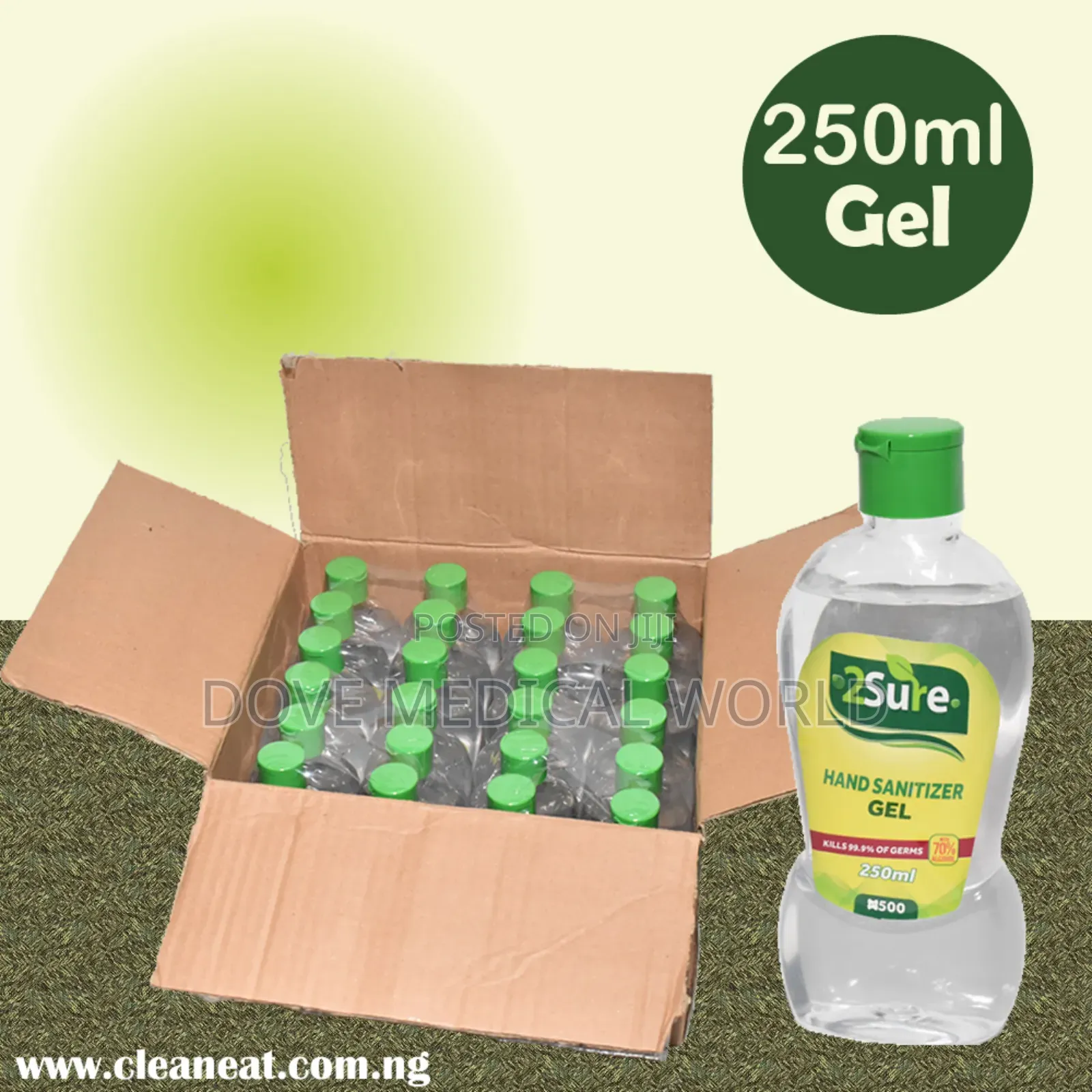 A Carton of 250ml Gel 2sure Hand Sanitizer (24pieces)