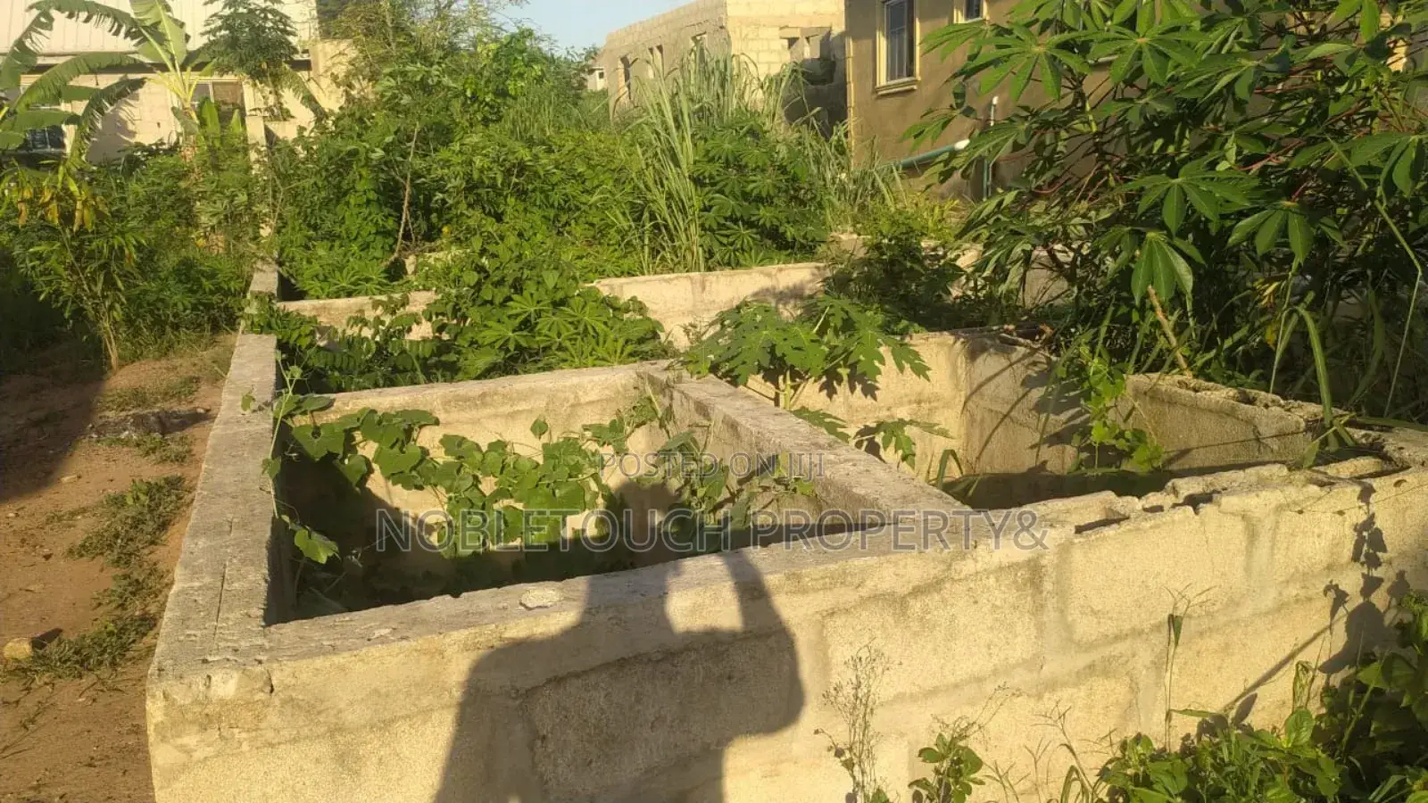 1bdrm Bungalow in Alewele Aleke, Adamo for sale