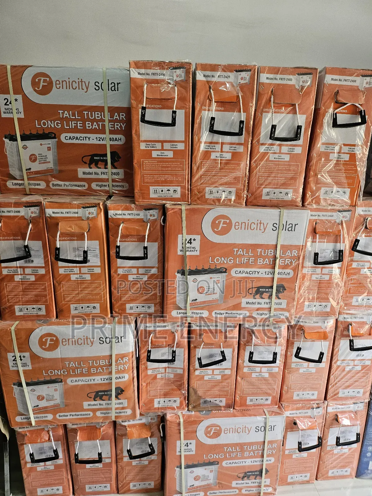 240ah Fenicity Tall Tubular Battery