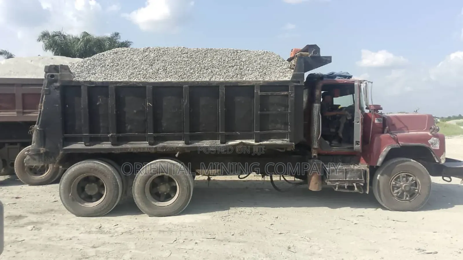 We Have Many Branches for Your Chippings