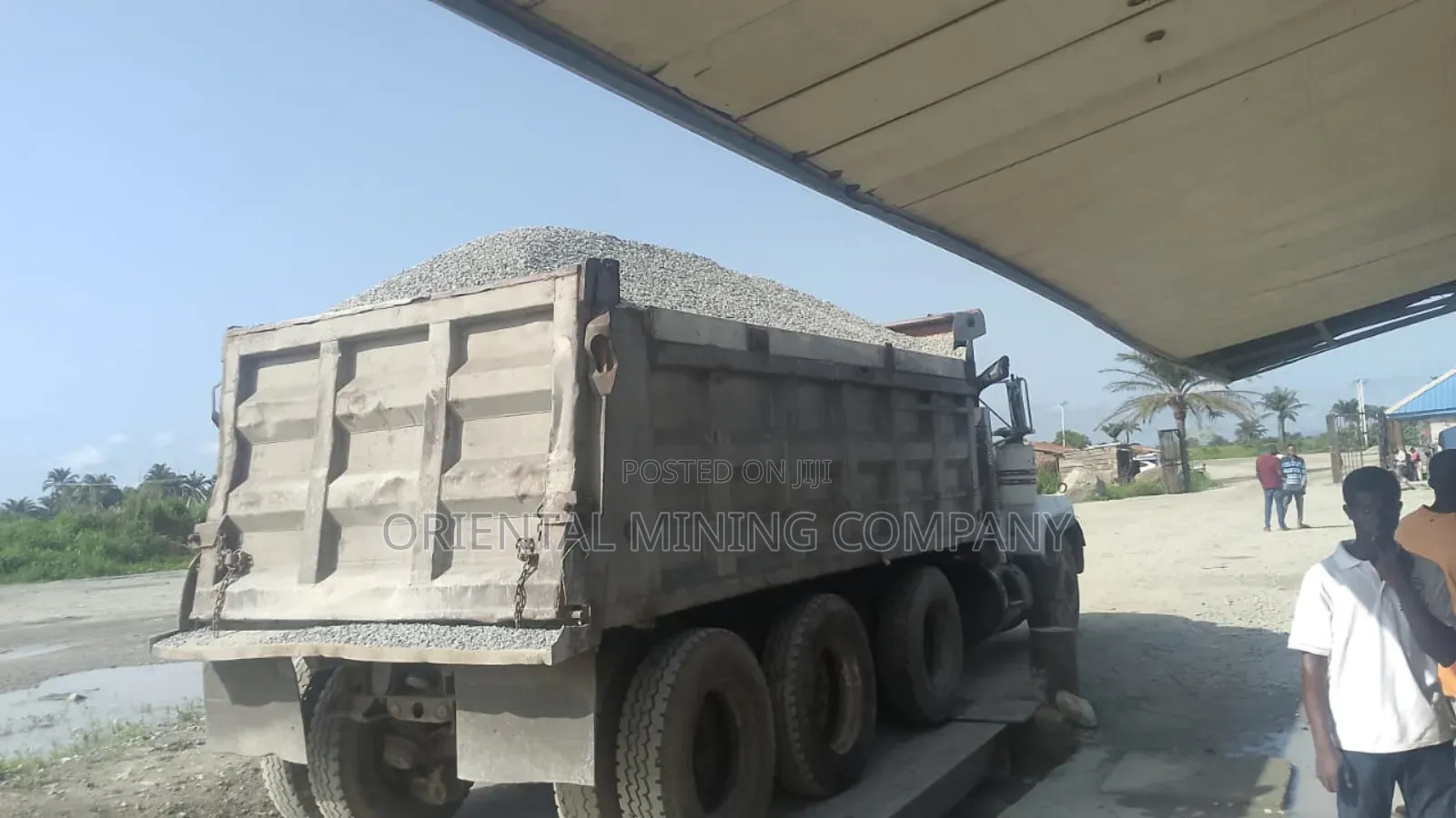 We Have Many Branches for Your Chippings