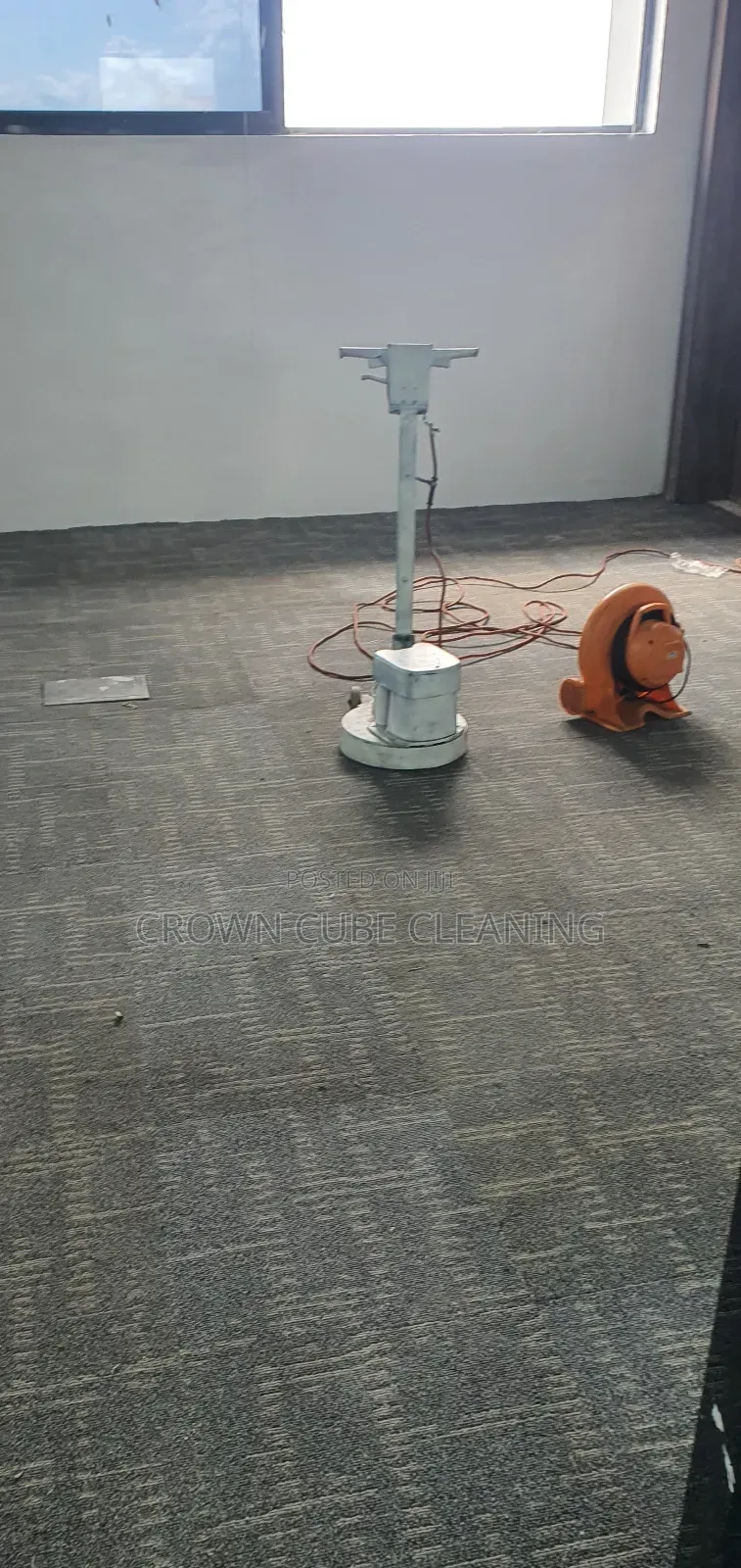 Wall Carpet Cleaning Services