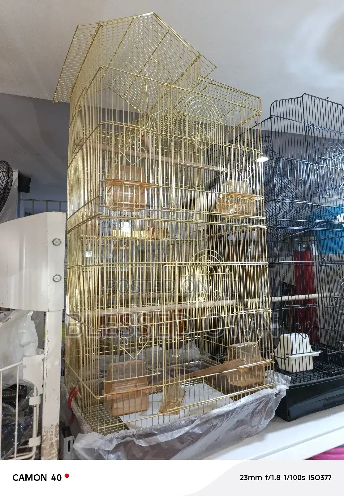 Bird Cage for Sale