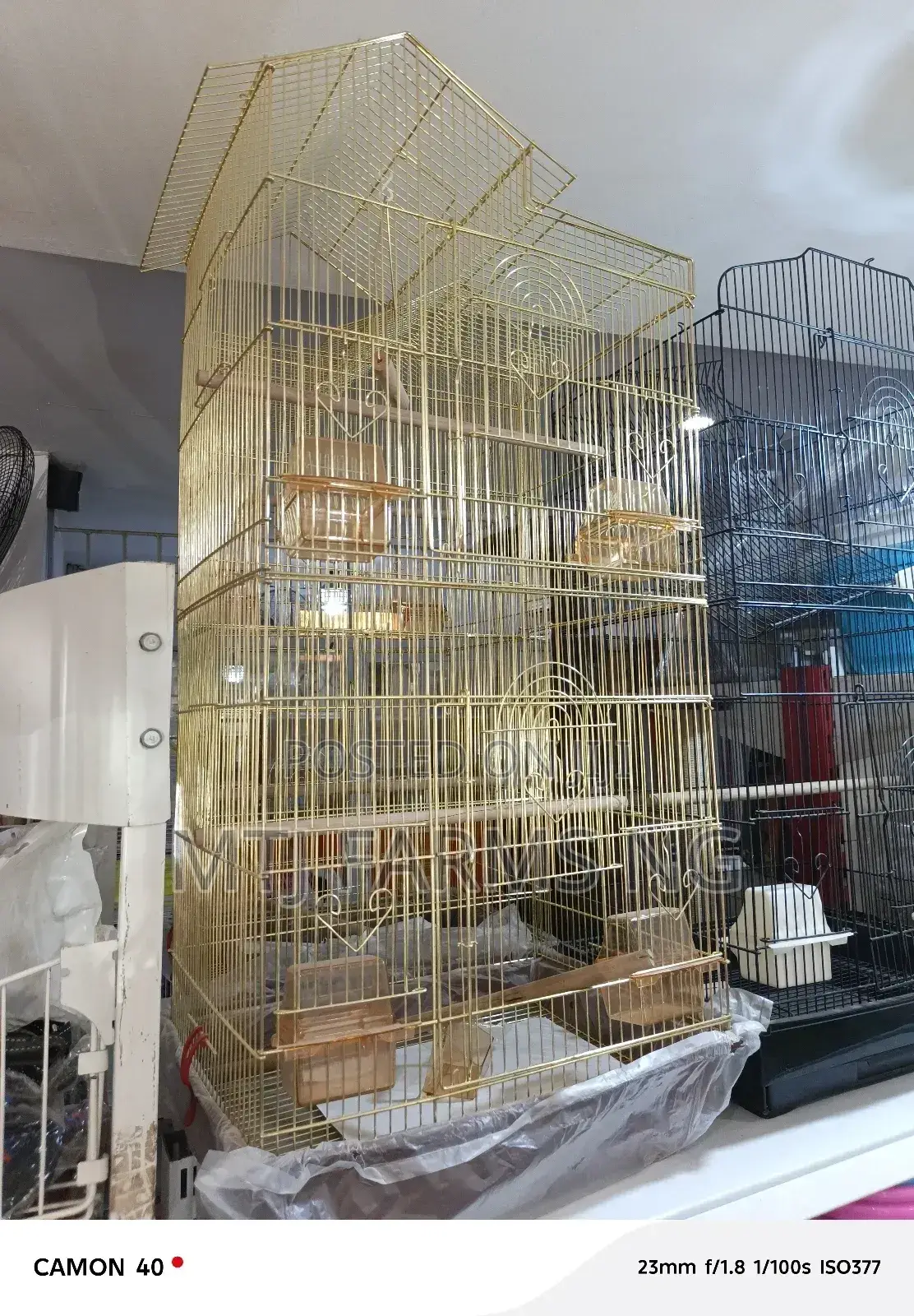 Bird Cage for Sale