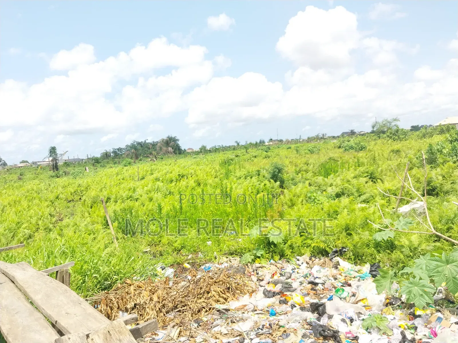 4100 SQM Plot Bishop Oluwole 4 Sale Victoria Island Lagos