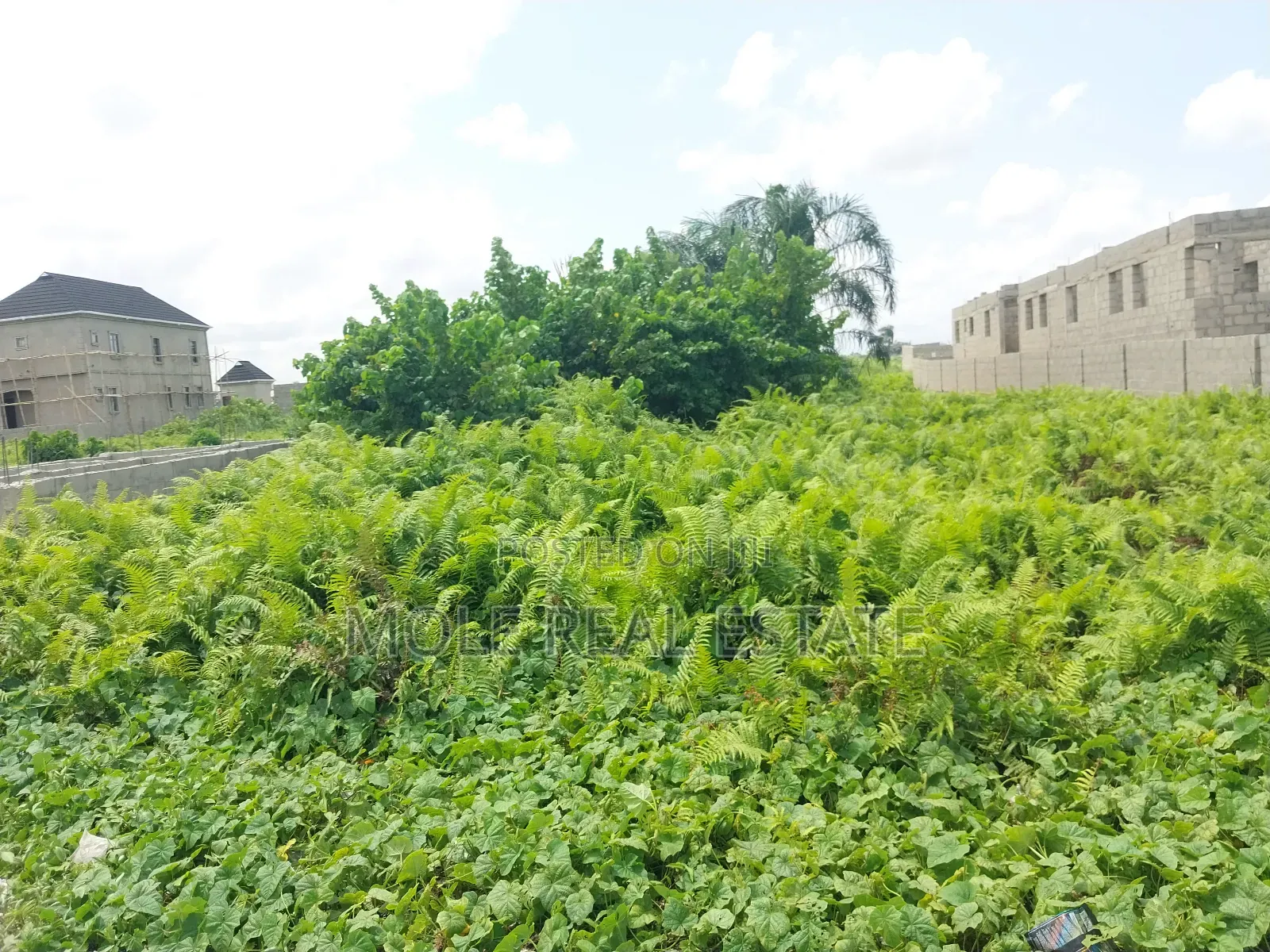2, 194sqm Plot Adeola Adeku by Zenith Bank P v I