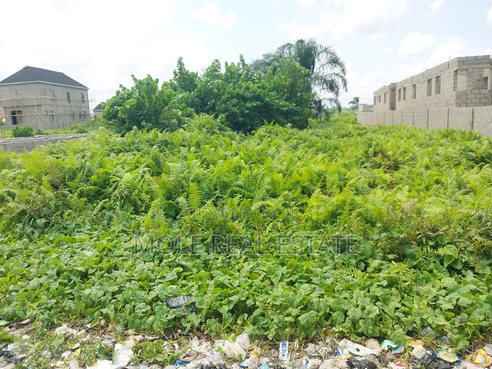 2, 194sqm Plot Adeola Adeku by Zenith Bank P v I