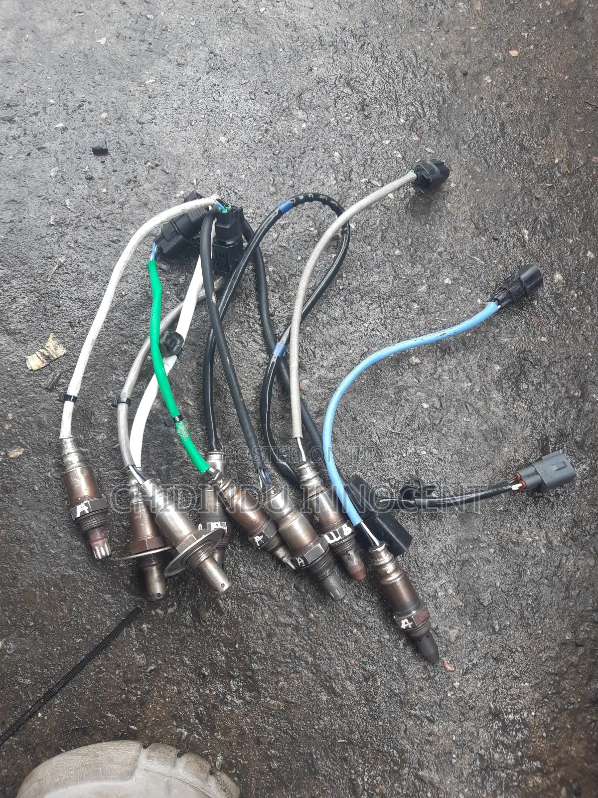Oxygen Sensor for Any Kinds of Vehicles Is Available