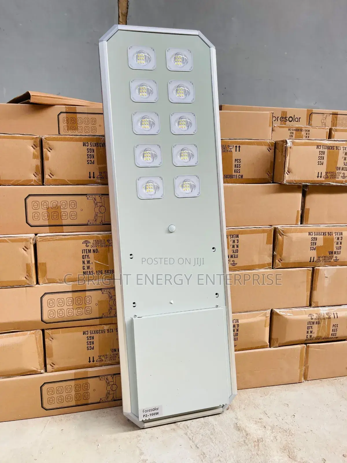 P2-100watt Foresolar Street Light