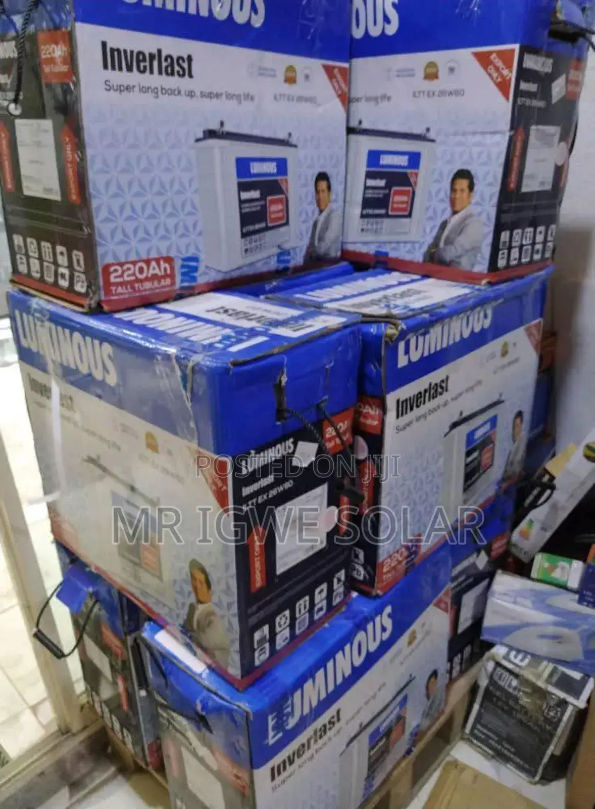 Luminous Inverlast Tubular Battery