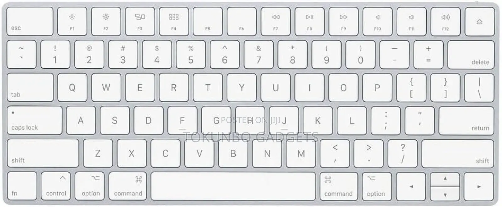 Apple Magic Keyboard 2 and Magic Mouse