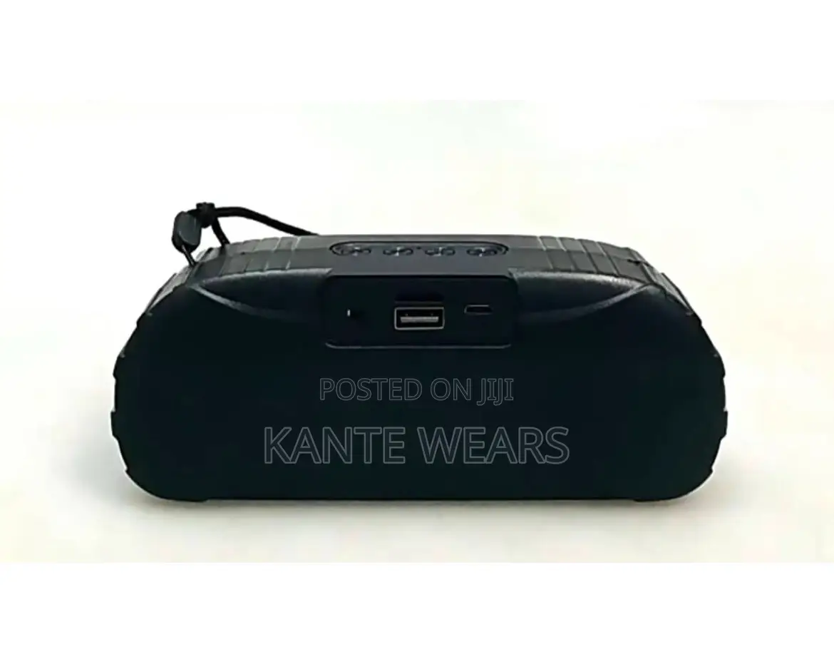 Rechargable Portable Wireless Bluetooth Speaker